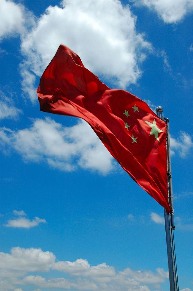请问大神，这是什么植物？多谢啦游戏画面